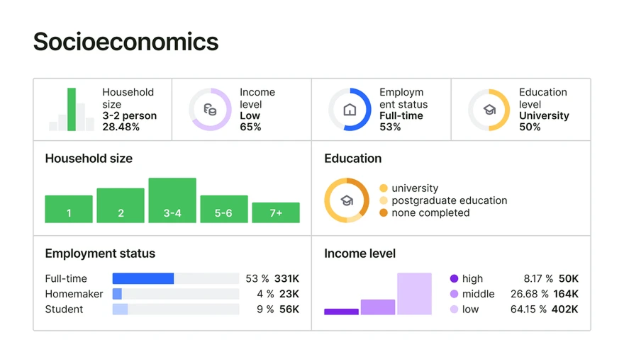 Socioeconomics audience report